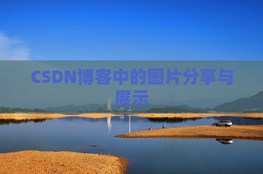 CSDN博客中的图片分享与展示